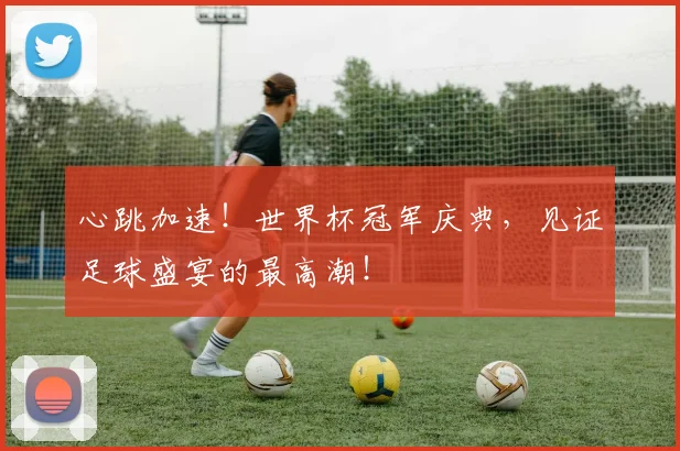 心跳加速!世界杯冠军庆典,见证足球盛宴的最高潮!